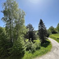 Obiekt na sprzedaż