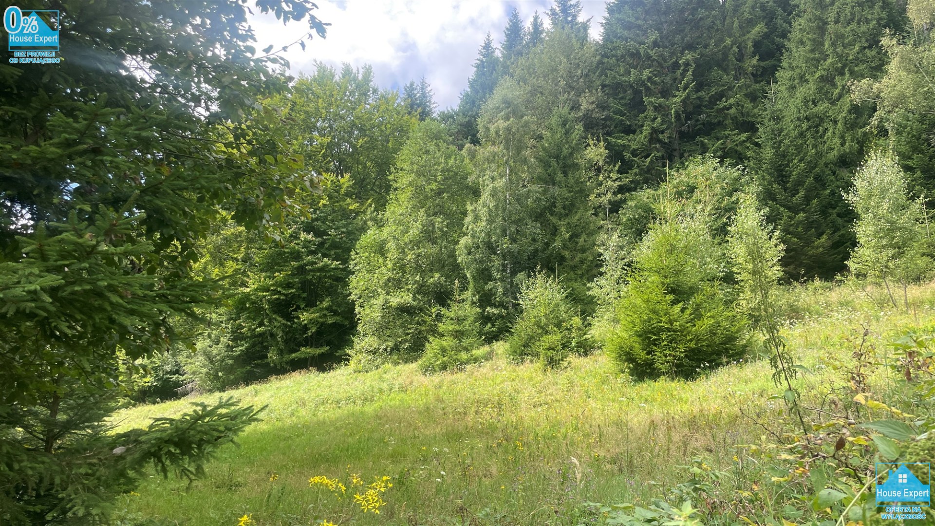 Działka na sprzedaż